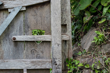 old wooden gate