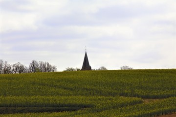 church in the field