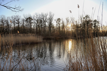 WROCLAW, POLAND - MARCH 11, 2020: Natura 2000 is a network of nature protection areas in the...