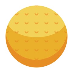 Field hockey ball icon. Isometric of field hockey ball vector icon for web design isolated on white background