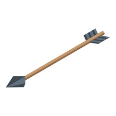 Shooting arrow icon. Isometric of shooting arrow vector icon for web design isolated on white background