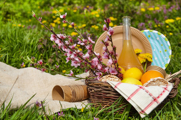 Lunch in the park on the green grass. Summer sunny day and picnic basket. With paper utensils. Picnic concept without plastic.