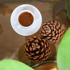 pine cone and pine cones