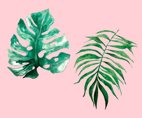 Tropical Leaf Patterns with a Smochromatic Feel