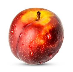 Red plum with drops on a white isolated background. Clipping path. Design element for print and web.