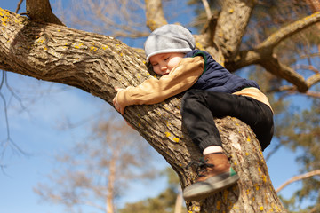 boy sits on a tree hugs a trunk, love of nature, tree care