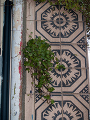 old wall tiles