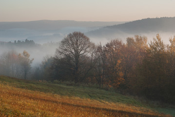 Fototapeta premium autumn foggy morning in bieszczady mountains