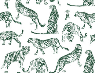 Safari Cats Family Isolated Figures Wallpaper Design Outline Drawing on White Background, Tiger, Leopard, Hoopoe Hand Drawn Engraving Print, Nursery Children Room Design