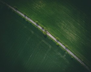 aerial view of a path
aerial view of a field
Czech field