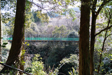 Fototapeta na wymiar 山の中の吊橋