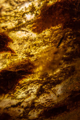 abstract colorful background  macro view, in stone. slice of a gem with backlight