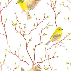 Spring pattern with birds and green young branches. Fresh background.