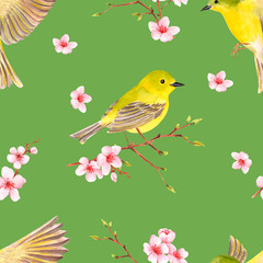 Romantic seamless texture with bird on flowering cherry branch. watercolor painting