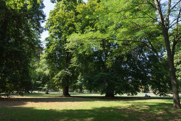 Im Mannheimer Stadtpark