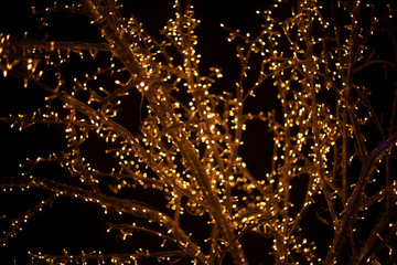 Garlands on a tree