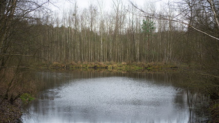 Jezioro z poruszającą się wodą w lesie 