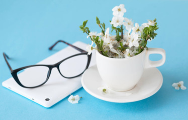 Blooming twigs in a white cup on a saucer, glasses and a white laptop on a blue background. The concept of spring indoors