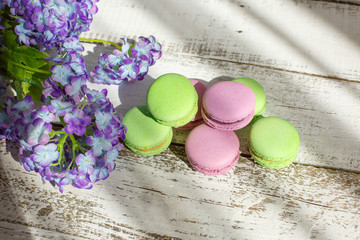 macarons and hydrangea morning light
