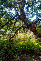 Thailand - Doi Inthanon