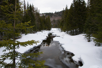 Nice little river on spring in Quebec, Canada