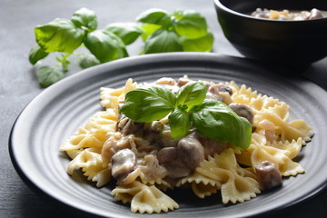 Creamy Mushroom Fettucini Alfredo pasta. Italian food 
