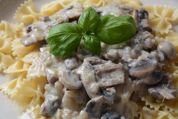 Creamy Mushroom Fettucini Alfredo pasta. Italian food 