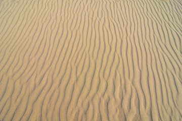 Fototapeta na wymiar Wavy contours in the sand. The sea has shaped the beach into lines through the waves.