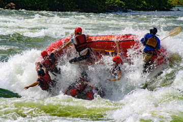 Whitewater rafting on the Nile in Jinja, Uganda