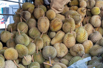 Fototapeta premium Durian piles are on pickup trucks for sale.