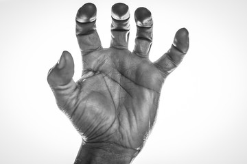 main, isolé, blanc, poing, doigt, bras, humain, geste, pouce, signes, main, affaires, poignée de...