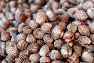 A pile of Fresh Cockle  sold in the fresh market