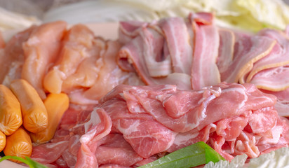 Close-Up of a tray full of various type of well prepared meats