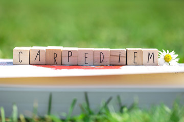 Wooden cubes with the words Carpe Diem, meaning seize the day, in green bright grass and a white daisy, summer background