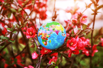 Planet earth globe model in flowers. Ecology, atmosphere and environment concept.