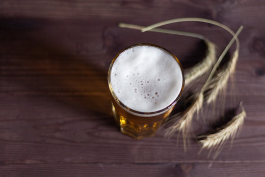 Foam on beer in glass on brown wooden background with barley slikes