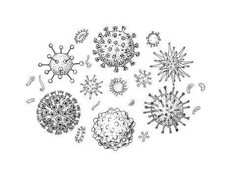 Set of hand drawn viruses types (coronavirus, papillomavirus, herpes, influenza, hepatitis, adenovirus) in sketch style. Microscope virus close up. Vector illustration. COVID-2019