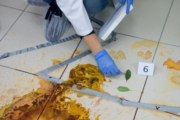Forensic technicians taking DNA sample from blood stain with cotton swab on murder crime scene. Criminological expert collecting evidence at the crime scene. Law and police concept.