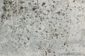 White, gray classic texture for designer background. Rough lighted surface.  Concrete wall with plaster. Space to fill. Raster image. Gray concrete.