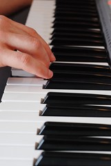 The musician plays the piano. The male fingers on the keys of the piano.