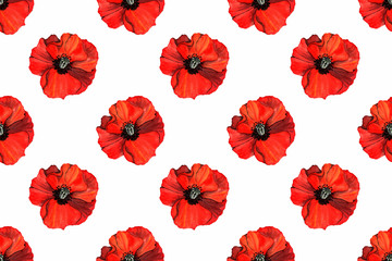 seamless pattern of red poppy on a white background