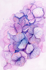Watercolor illustrations of flowers for wedding cards, romantic prints, fabrics, textiles and scrapbooking.