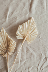 Tan fan craft leaves made of craft paper on beige washed linen cloth. Flat lay, top view minimal floral concept.