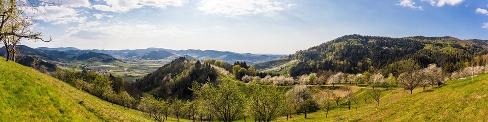 Fototapeta na wymiar Panorama auf dem Hexensteig bei Laudenbach im Schwarzwald