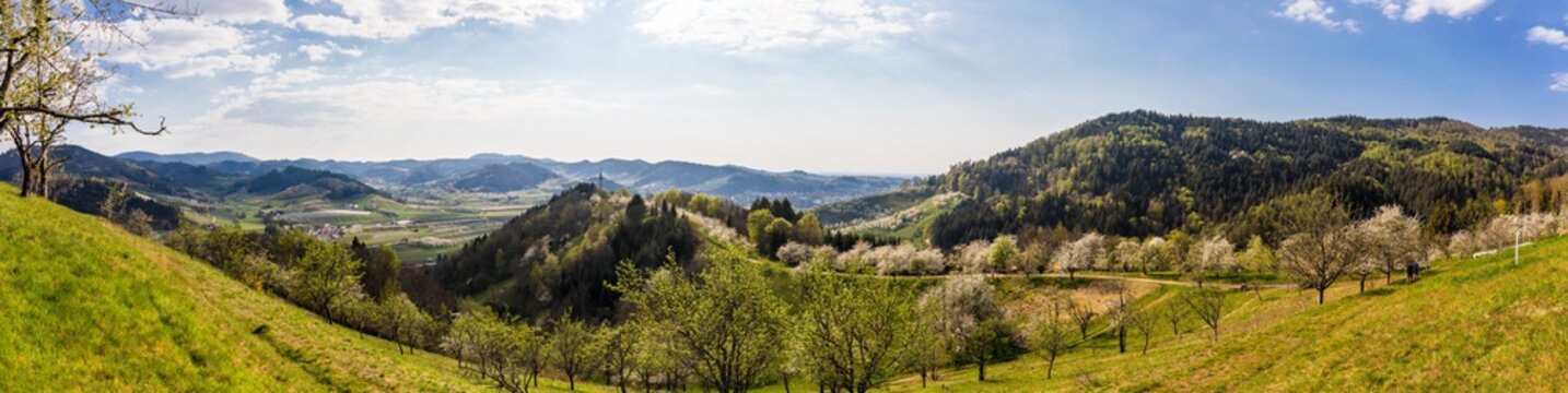 Panorama auf dem Hexensteig bei Laudenbach im Schwarzwald