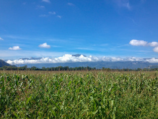 Rhone Alps Countryside
