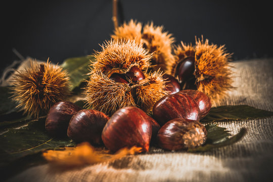 Castagne ricci sfondo legno