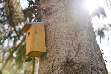 Birdhouse on tree trunk in garden, sunny weather