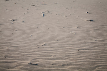 France, Charente Maritime, Plage de la station de balnéaire de Saint Georges