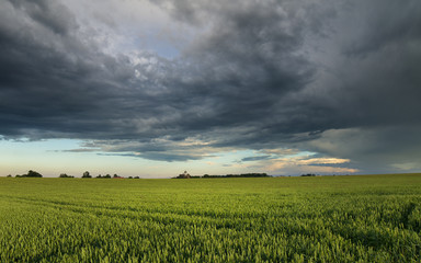 storm clouds over rural green spring fields